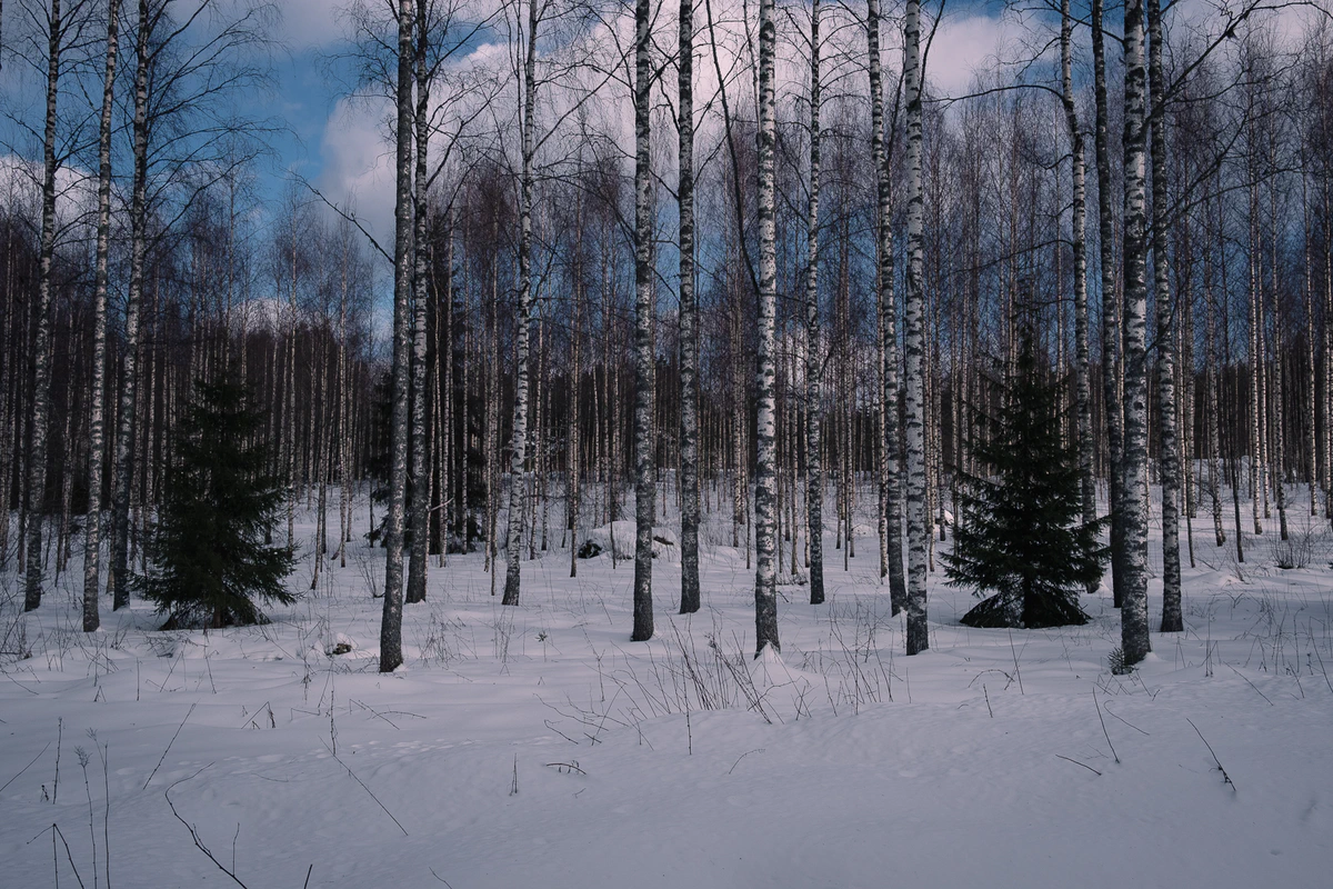 Photo section blog/winter-in-finland 2