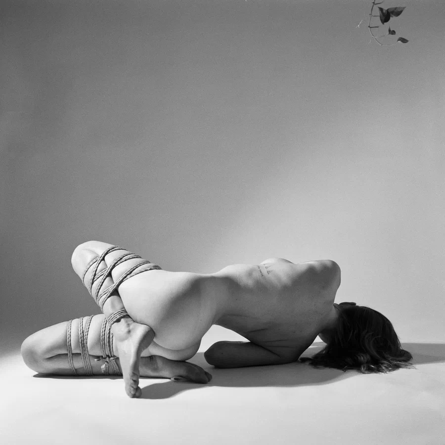 Photo 5