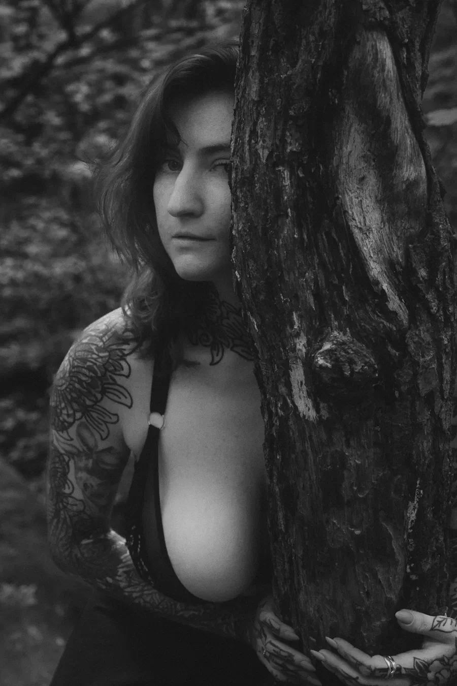 Fern
